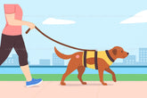 Cách điều trị u mỡ ở chó an toàn: 8 bước chữa khối u cho chó tại nhà-Tiptory