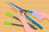 Cách tỉa cành cây đúng kỹ thuật: 13 bước giúp cây khỏe và đẹp hơn-Tiptory