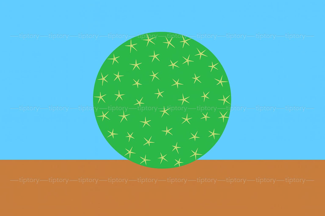 Cách xác định phương hướng khi không có la bàn: 5 mẹo tìm hướng đi-Tiptory